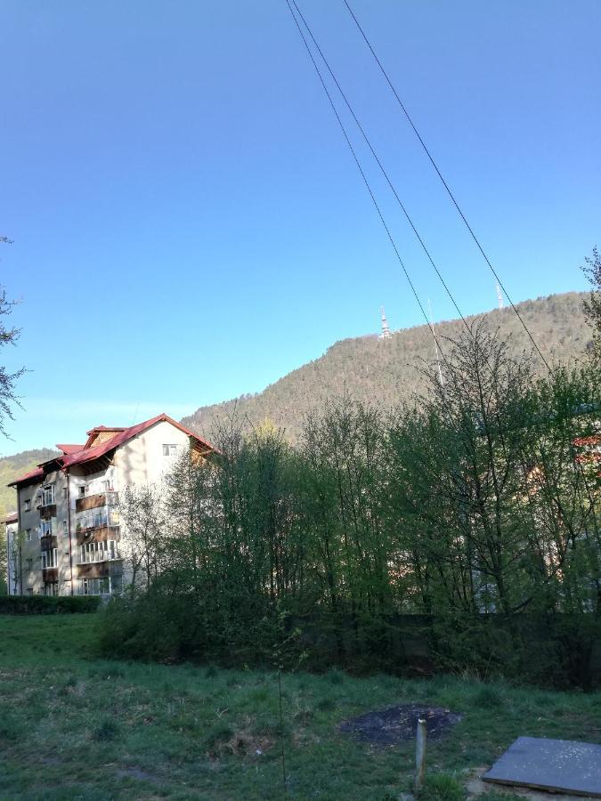 Rustic & Romantic Apartment Brașov Exterior foto